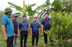 “Xây lại” hệ thống khuyến nông cộng đồng