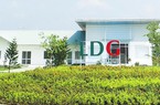 LDG Group (LDG) bị cưỡng chế hơn 7 tỷ đồng, quý IV lỗ gần 39 tỷ đồng