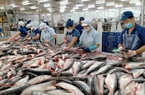 Điều gì đang chờ đợi các doanh nghiệp xuất khẩu cá tra ở thị trường Trung Quốc?