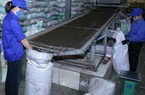 Doanh nghiệp xuất khẩu tập trung tìm thị trường mới