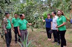 TT-Huế: Thành lập 243 chi, tổ hội nghề nghiệp giúp nông dân làm giàu