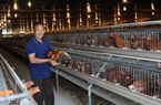 Bắc Ninh có 83.155 hộ nông dân đạt danh hiệu sản xuất, kinh doanh giỏi