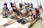 Lấy bùn thải nuôi cá tra làm nguồn thức ăn nuôi côn trùng, giải pháp giảm phát thải carbon