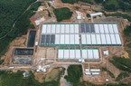 Tự nuôi “thử” 700 con lợn ở Thanh Hóa, Công ty Agri-Vina bị phạt 70 triệu đồng