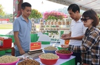 Kết nối giao thương tiêu thụ cà phê Sơn La