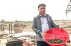 Anh nông dân Nam Định nuôi loài ốc gì ở dưới ao, bắt bán cả trăm tấn, lãi hàng tỷ đồng/năm?