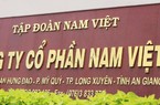Nam Việt (ANV): Thoát lỗ quý III/2023, lợi nhuận 9 tháng "bốc hơi" 90%