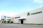 Vinaseed (NSC) điều chỉnh giảm kế hoạch kinh doanh