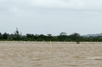 Quảng Ngãi hoàn thành kè 27 tỷ chặn thuỷ thần “ngoạm” đất sản xuất, doạ cuốn nhà dân ra sông