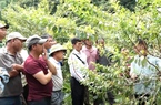 Sơn La: Giảm nghèo bền vững ở vùng đồng bào dân tộc thiểu số