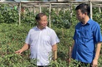 Phó Chủ tịch Hội NDVN Đinh Khắc Đính và đoàn công tác tìm hiểu vùng trồng mít ở Lai Châu