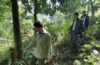 Chi trả dịch vụ môi trường rừng: Góp phần thay đổi diện mạo nông thôn ở Lai Châu
