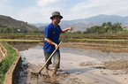 Lịch lấy nước phục vụ gieo cấy lúa vụ Đông Xuân 2023-2024 tại vùng nông nghiệp Hà Nội