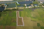 Luật hóa quy định liên quan đến chế độ sử dụng đất có mặt nước là ao, hồ, đầm
