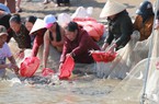 Nghệ An: Phóng sinh hơn 10 tấn cá xuống sông Lam
