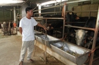 Thái Nguyên: Hội Nông dân Phổ Yên xây dựng 57 mô hình kinh tế tập thể giúp nông dân làm giàu