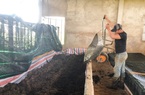 Một nông dân Lâm Đồng phất lên với mô hình chăn nuôi tuần hoàn chỉ với 2 loại vật nuôi