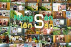 NÔNG SẢN LÊN SÀN: 1 năm đồng hành cùng nông dân nâng tầm giá trị nông sản Việt 