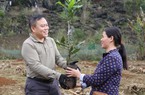 Giống cây mắc ca mang hy vọng xóa nghèo cho người dân Lạng Sơn 