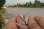 Khi nào "đinh tặc" bị xử lý hình sự?