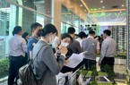 Nhiều công ty môi giới bất động sản tại TP.HCM nghỉ Tết kỉ lục chờ diễn biến thị trường