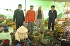 Tận thấy những mô hình sản xuất, kinh doanh sáng tạo, hiệu quả kinh tế cao của nông dân Quảng Ninh