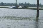 Hàng nghìn ha lúa bị ngập, TT-Huế yêu cầu thủy điện tạm ngừng phát điện để cứu lúa 