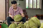 Có hay không việc cấp mã số vùng trồng, mã số cơ sở đóng gói xuất khẩu trái cây sang Trung Quốc còn chậm?