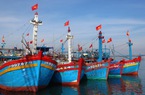 Thủ tướng yêu cầu chấm dứt tàu cá khai thác hải sản bất hợp pháp ở vùng biển nước ngoài