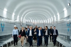 Tổng Giám đốc AFD thăm và làm việc với EVN