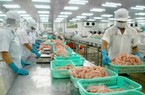 Nhiều mặt hàng thủy sản xuất khẩu bất ngờ lao dốc