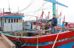 Đội tàu ngư dân Nam Định tất bật đánh bắt xuyên tỉnh, chăm chỉ ghi chép nhật ký khai thác 