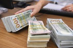 Tỷ giá USD ngày 20/2/2023 tại các ngân hàng thương mại giảm