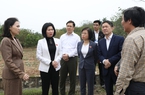 Khảo sát tiến độ triển khai dự án đường Vành đai 4 tại huyện Thanh Oai và Quận Hà Đông