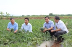 Nguồn vốn Quỹ Hỗ trợ nông dân tỉnh Bắc Ninh giải quyết việc làm, tăng thu nhập cho hơn 3.400 lao động