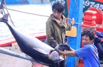 Phạt chủ tàu cá tới 1 tỷ đồng khi khai thác không phép, thậm chí phạt tù nếu phạm phải điều này