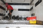 Phó Chủ tịch Bình Định yêu cầu 1 huyện kiểm điểm trách nhiệm người đứng đầu vì có tàu cá vi phạm 