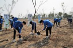 Dự án trồng cây hướng đến Net Zero Carbon chính thức khởi động tại Hà Nội