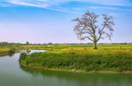 Nơi trận chiến đầu tiên của quân nhà Trần với quân Mông-Nguyên, khiến tướng giặc tự sát nay là huyện nào Vĩnh Phúc?