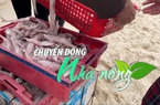 Chuyển động Nhà nông 5/2: Ngư dân vùng bãi ngang Quảng Bình trúng vụ cá khoai đầu năm