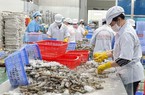 Cơ hội cho doanh nghiệp Việt Nam thúc đẩy xuất khẩu sang Nga
