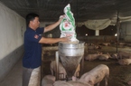 Vốn ưu đãi Ngân hàng CSXH tỉnh Nam Định “nâng bước” hộ mới thoát nghèo 