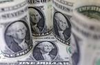 Giá USD hôm nay 6/2