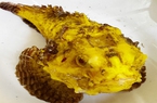 Chưa từng thấy ở Lý Sơn (Quảng Ngãi): Con cá mặt quỷ có màu vàng ươm như nghệ khiến bao người tò mò