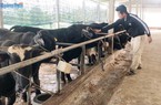 Lợi thế của người trẻ làm nông nghiệp