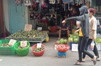 Cam sành rẻ chưa từng có
