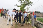 Hội Nông dân tỉnh Nghệ An tổ chức trồng hơn 700.000 cây, đặt mục tiêu mỗi hội viên trồng ít nhất 1 cây xanh