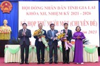Phó Thủ tướng Trần Lưu Quang ký quyết định phê chuẩn kết quả bầu 2 Phó Chủ tịch tỉnh