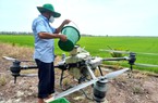 Nhẫn nại chinh phục đất phèn, nên kiện tướng trồng lúa, thu lãi hàng tỷ mỗi vụ