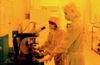 Công nghệ dây nano: Mũi điện tử đánh hơi bệnh tật